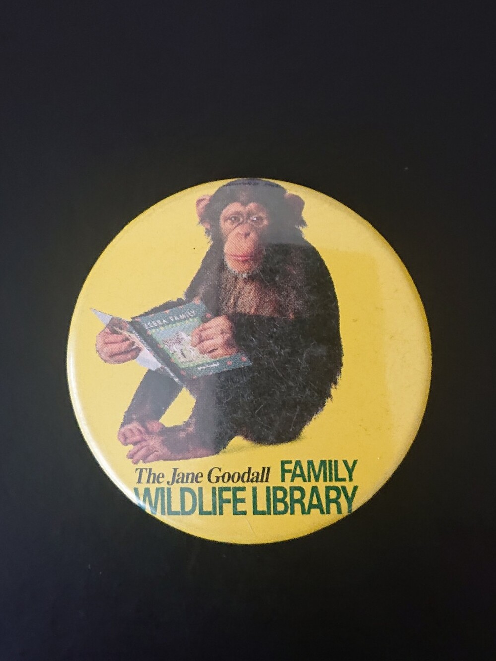Vintage 2" Round Pin Button - Jane Goodall Wildlife Library - Chimpanzee Reading